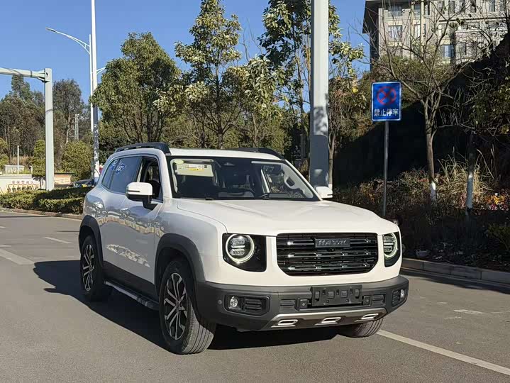 Фото 3 - Haval Dargo