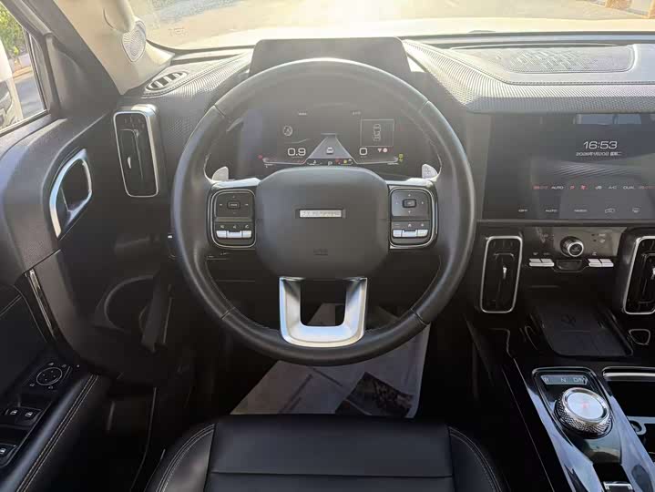 Фото 5 - Haval Dargo