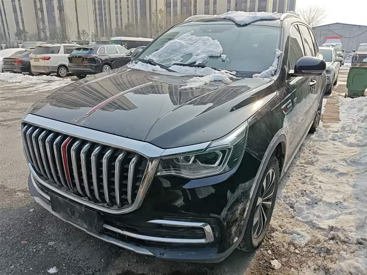 Фото 2 - Hongqi HS7