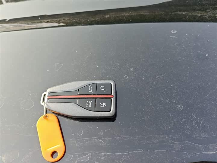 Фото 9 - Hongqi HS7