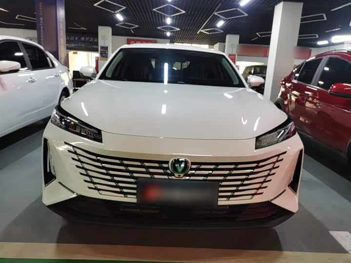 Фото 3 - Changan Eado Plus