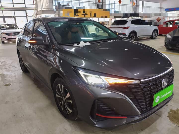 Фото 4 - Changan Eado Plus