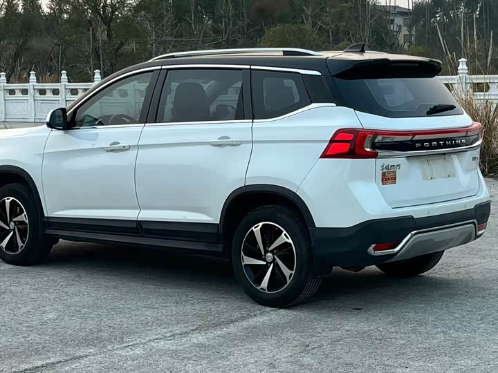 Фото 6 - Dongfeng Forthing T5