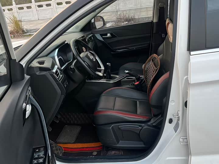 Фото 7 - Dongfeng Forthing T5