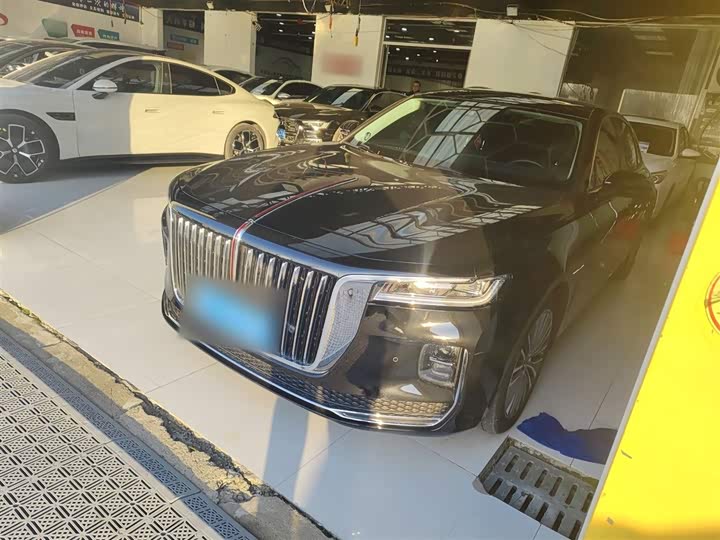 Фото 2 - Hongqi H9
