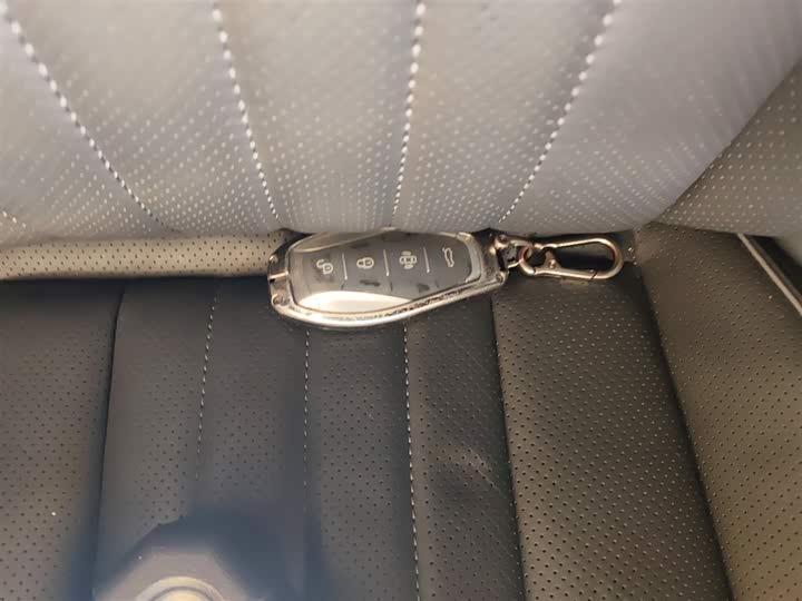 Фото 9 - Hongqi H9