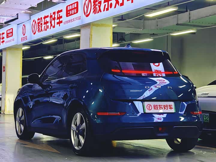 Фото 3 - Ora Good Cat (03)