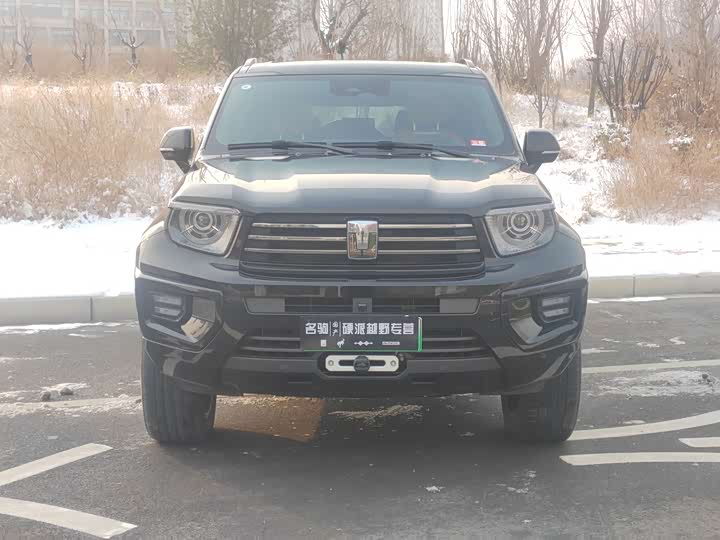 Фото 4 - Tank 700 Hybrid