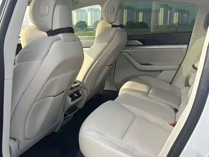 Фото 6 - Hozon S