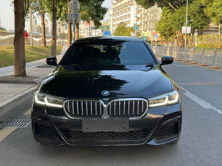 Фото 2 - BMW 5 Series Hybrid