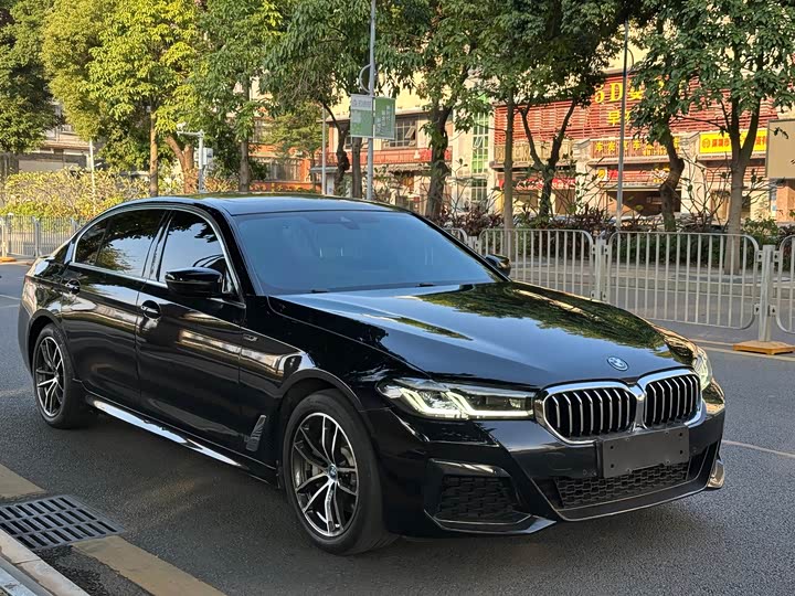 Фото 3 - BMW 5 Series Hybrid