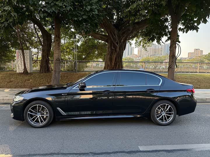 Фото 4 - BMW 5 Series Hybrid