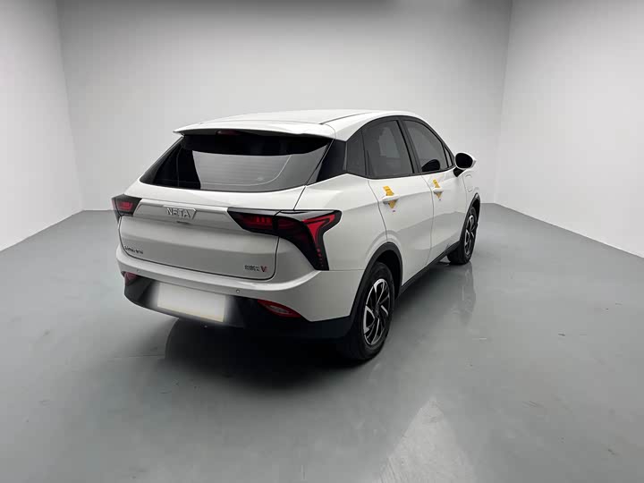 Фото 4 - Hozon V