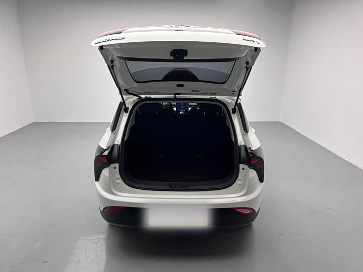 Фото 8 - Hozon V