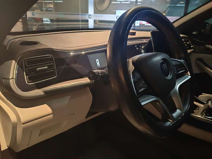 Фото 5 - BYD Qin Plus