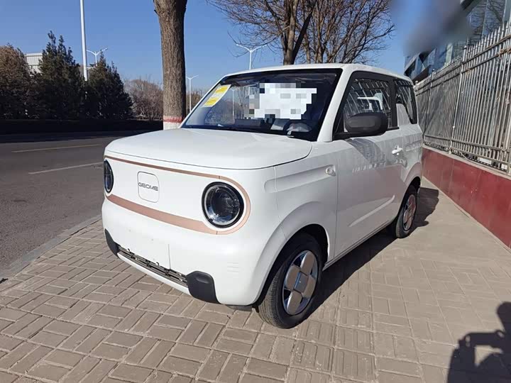 Фото 2 - Geely Galaxy Panda Mini