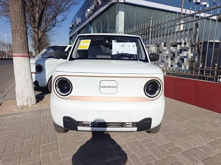 Фото 3 - Geely Galaxy Panda Mini