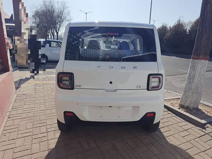 Фото 6 - Geely Galaxy Panda Mini