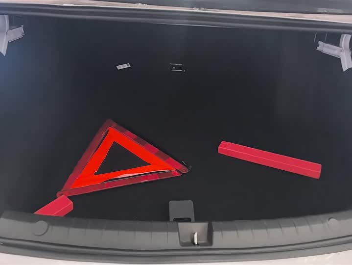 Фото 4 - BYD Qin Plus