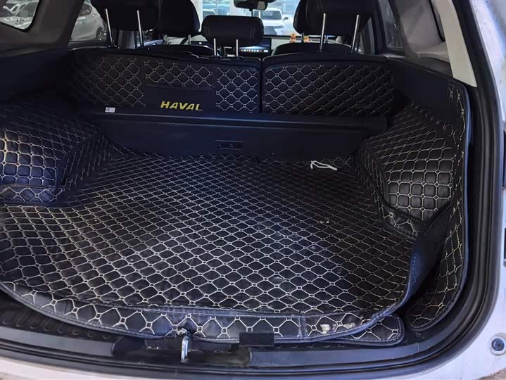 Фото 4 - Haval H6