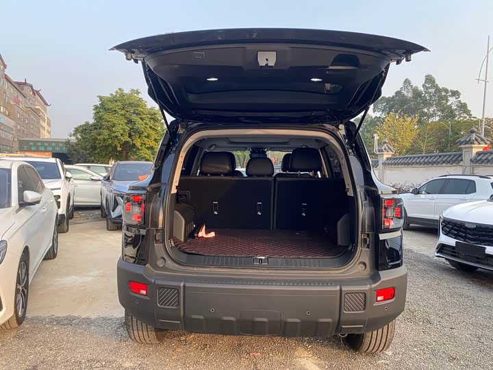 Фото 6 - Jetour Freedom