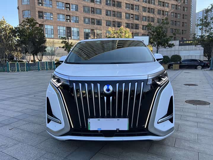 Фото 2 - Denza D9