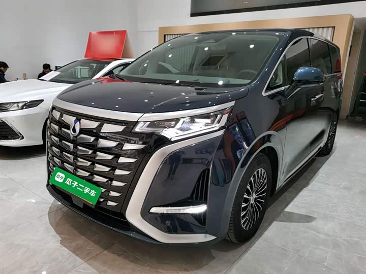 Фото 1 - Denza D9