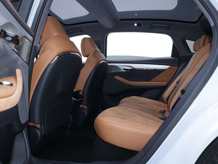 Фото 4 - Voyah Passion