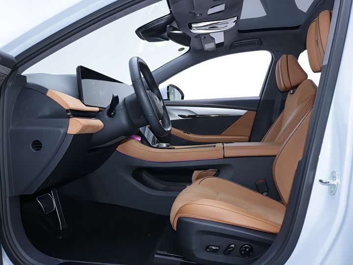 Фото 5 - Voyah Passion