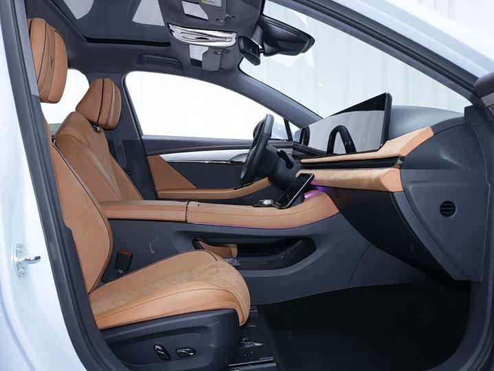 Фото 6 - Voyah Passion