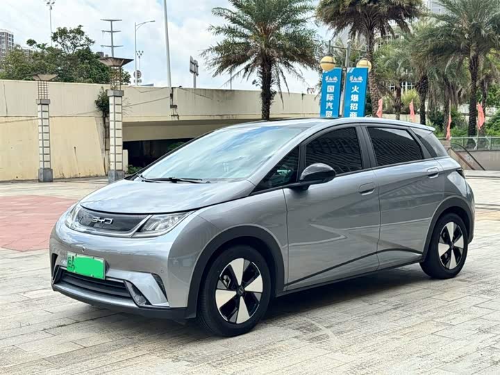 Фото 1 - BYD Dolphin