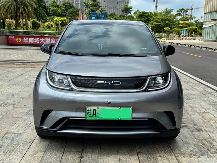 Фото 2 - BYD Dolphin