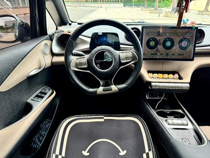 Фото 7 - BYD Dolphin