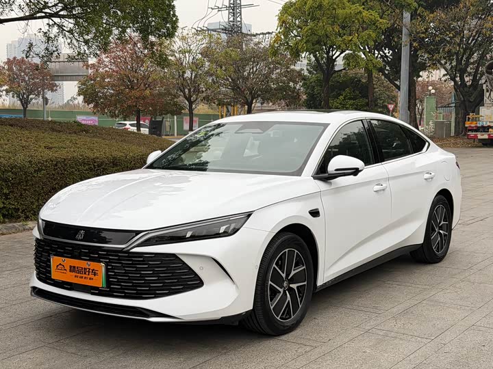 Фото 1 - BYD Qin L