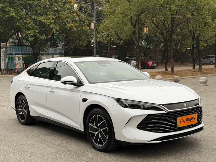 Фото 3 - BYD Qin L