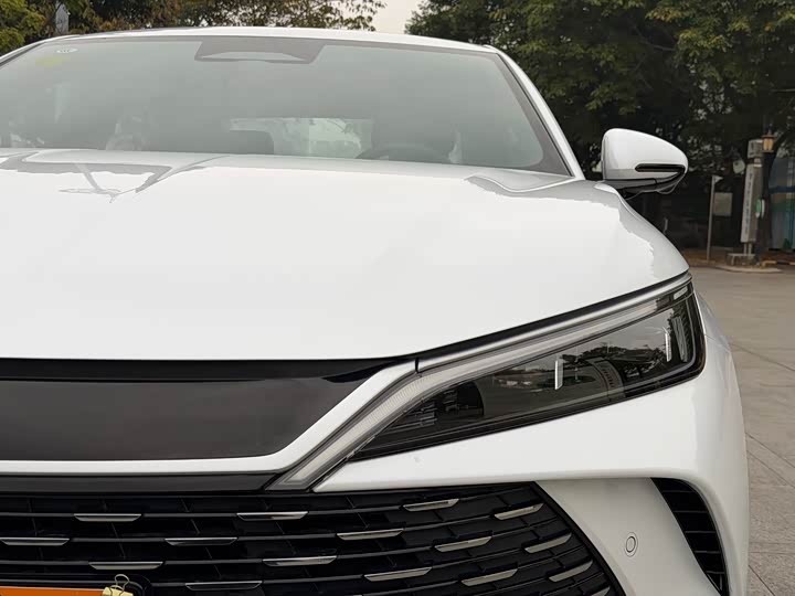 Фото 5 - BYD Qin L