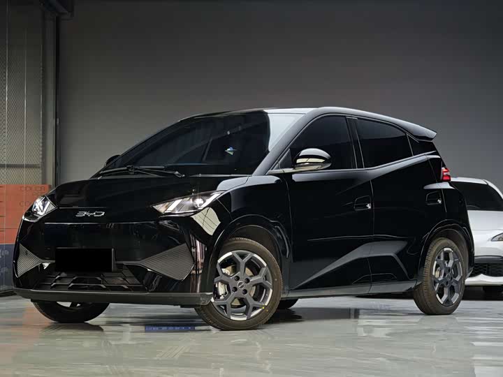 Фото 1 - BYD Seagull