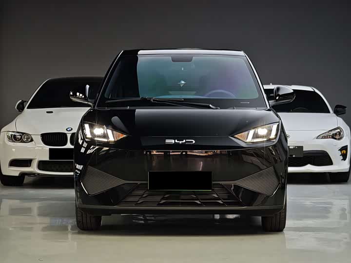 Фото 2 - BYD Seagull