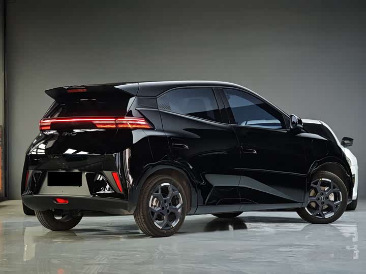 Фото 5 - BYD Seagull