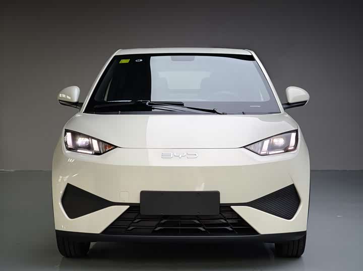 Фото 6 - BYD Seagull