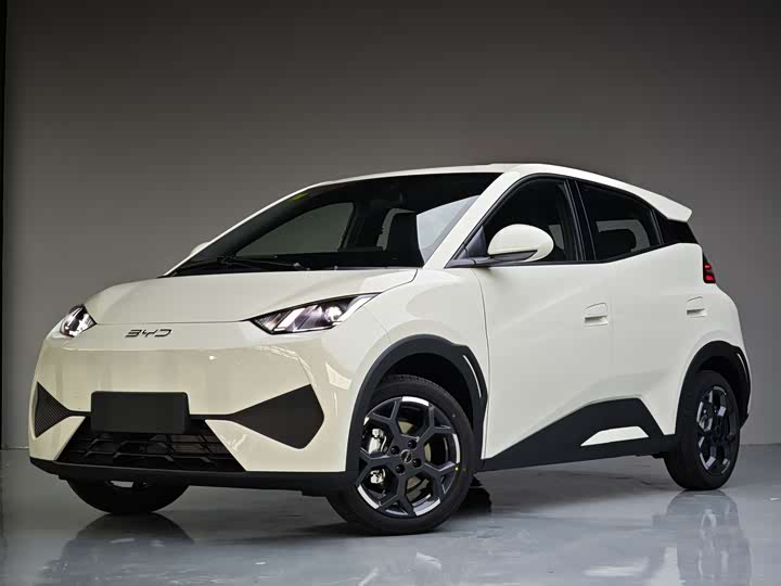 Фото 7 - BYD Seagull