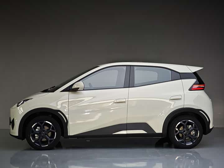 Фото 8 - BYD Seagull