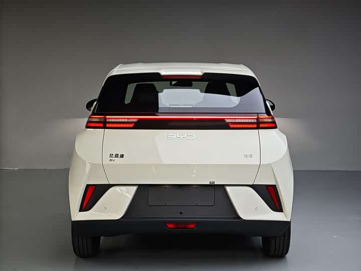 Фото 9 - BYD Seagull