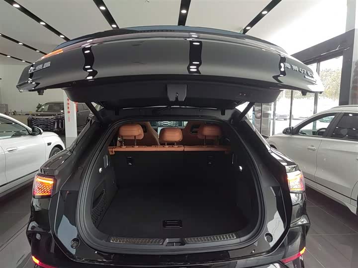 Фото 9 - BYD Sea Lion 07 EV