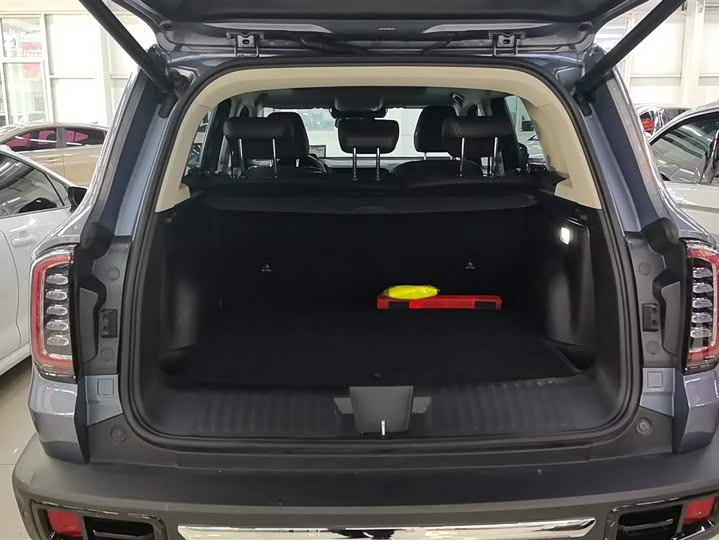 Фото 4 - Haval Dargo