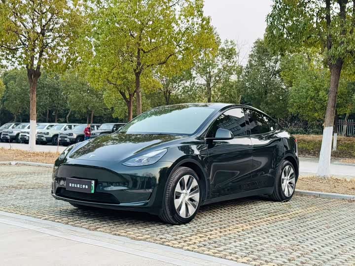 Фото 3 - Tesla Model Y