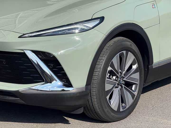 Фото 3 - Buick Electra E4