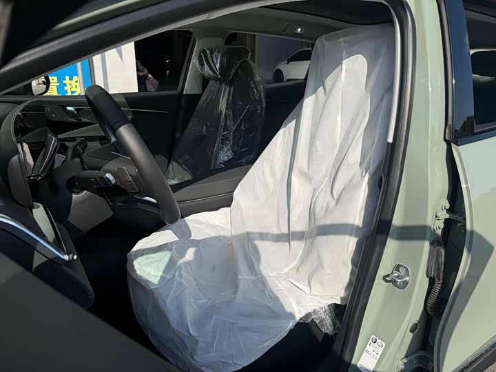 Фото 8 - Buick Electra E4