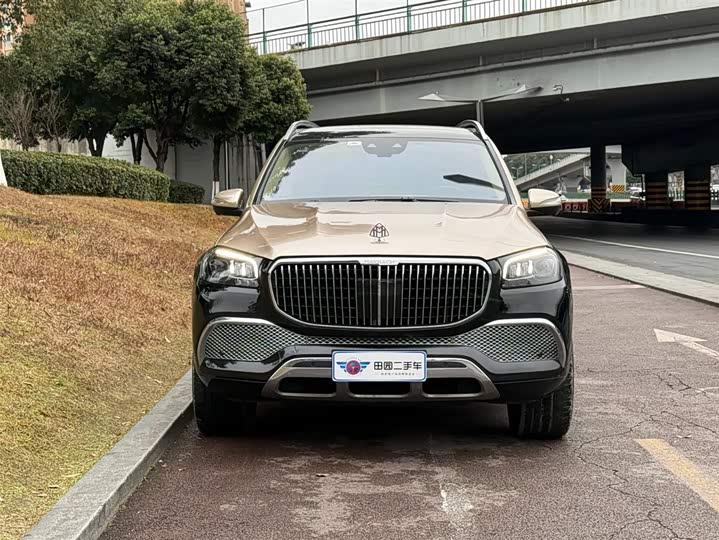 Фото 2 - Mercedes-Benz Maybach GLS