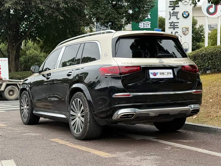 Фото 4 - Mercedes-Benz Maybach GLS